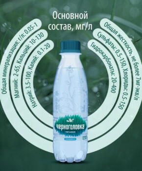 Состав воды Черноголовка 0.25 литра негазированная
